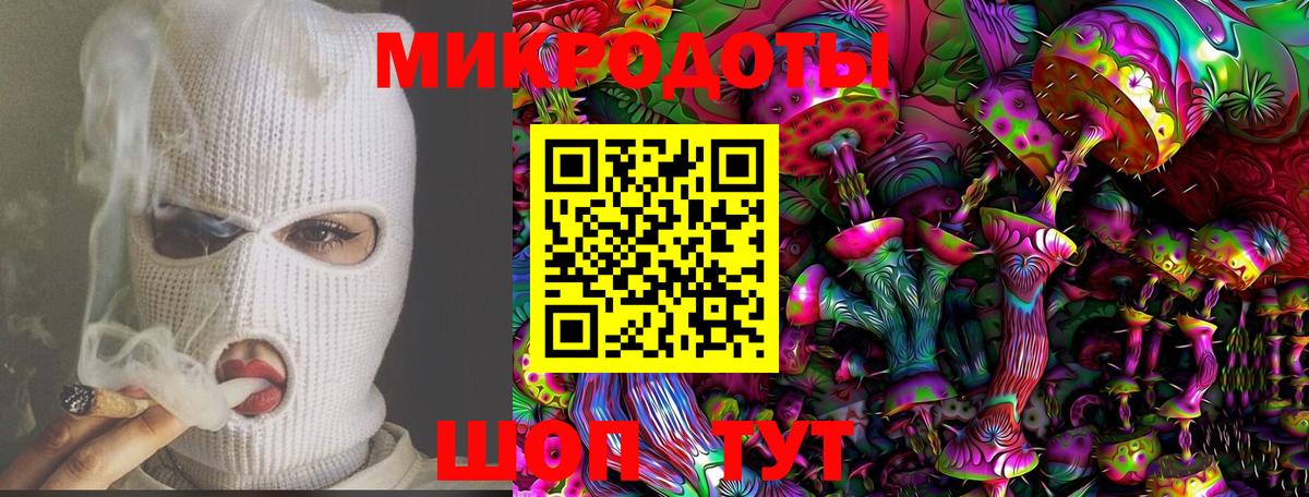 Псилоцибиновые грибы Cubensis Саранск